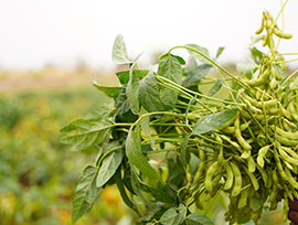farming image