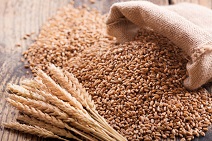 farming image